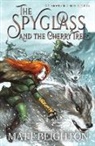 Matt Beighton, Tbd - The Spyglass and the Cherry Tree