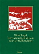 Silvi Götschi, Silvia Götschi, Christin Jaeggi, Franzisk Keller, Franziska Keller, Jo Fuchs... - Wenn Engel Sternschnuppen küssen, dann ist Weihnachten