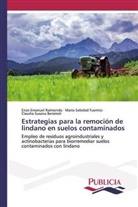 Beni, Claudia Susana Benimeli, María Soleda Fuentes, María Soledad Fuentes, Enzo Emanue Raimondo, Enzo Emanuel Raimondo - Estrategias para la remoción de lindano en suelos contaminados
