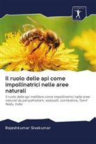 Rajeshkumar Sivakumar - Il ruolo delle api come impollinatrici nelle aree naturali