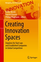 Patric Glauner, Patrick Glauner, Volker Nestle, Philipp Plugmann - Creating Innovation Spaces