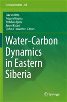 Tetsuy Hiyama, Tetsuya Hiyama, Yoshihiro Iijima, Yoshihiro Iijima et al, Ayumi Kotani, Trofim C. Maximov... - Water-Carbon Dynamics in Eastern Siberia