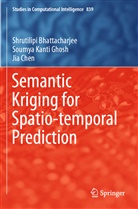 Shrutilip Bhattacharjee, Shrutilipi Bhattacharjee, Chen, Jia Chen, Soumya Kant Ghosh, Soumya Kanti Ghosh - Semantic Kriging for Spatio-temporal Prediction