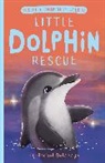 Artful Doodlers, Rachel Delahaye, Suzie Mason, Artful Doodlers, Artful Doodlers, Suzie Mason - Little Dolphin Rescue