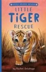 Artful Doodlers, Rachel Delahaye, Suzie Mason, Artful Doodlers, Suzie Mason - Little Tiger Rescue