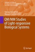 Tadeus Andruniów, Tadeusz Andruniów, Olivucci, Olivucci, Massimo Olivucci - QM/MM Studies of Light-responsive Biological Systems