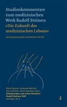 René Ebersbach, Peter Heusser, Tom Scheffers, Tom Scheffers u a, Johanne Weinzirl, Johannes Weinzirl - Erläuterungen zum ersten Ärztekurs Rudolf Steiners 1920