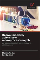Kavita Attri, Manish Yadav - Rozwój macierzy zbiorników mikroprocesorowych