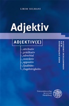 Lirim Selmani - Adjektiv