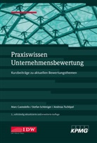 Mar Castedello, Marc Castedello, Stefa Schöninger, Stefan Schöninger, Andr Tschöpel, Institu der Wirtschaftsprüfer in Deutsch... - Praxiswissen Unternehmensbewertung, 2. Aufl.