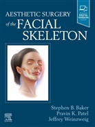 Stephen Baker, Stephen B Baker, Stephen B. Baker, Pravin (Professor and Chief Division of Plastic Patel, Pravin K Patel, Pravin K. Patel... - Aesthetic Surgery of the Facial Skeleton