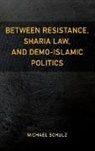 Michael Schulz - Between Resistance, Sharia Law, and Demo-Islamic Politics
