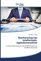 Georgios I Zekos, Georgios I. Zekos - Bescherming van intellectuele-eigendomsrechten
