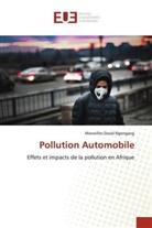 Merveilles David Ngongang - Pollution Automobile