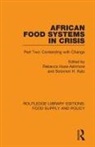 Rebecca Katz Huss-Ashmore, Solomon H. Katz, Rebecca Huss-Ashmore, Huss-Ashmore Rebecca, Solomon H Katz - African Food Systems in Crisis