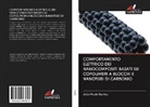 João Paulo Santos - COMPORTAMENTO ELETTRICO DEI NANOCOMPOSITI BASATI SU COPOLIMERI A BLOCCHI E NANOTUBI DI CARBONIO