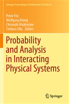 Peter Friz, Wolfgan König, Wolfgang König, Chiranjib Mukherjee, Chiranjib Mukherjee et al, Stefano Olla - Probability and Analysis in Interacting Physical Systems
