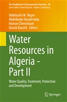 Damia Barcelo, Damià Barceló, Abdelkade Bouderbala, Abdelkader Bouderbala, Haroun Chenchouni, Haroun Chenchouni et al... - Water Resources in Algeria - Part II