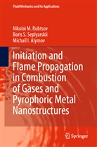Mi Alymov, Michail I. Alymov, Nikolai Rubtsov, Nikolai M Rubtsov, Nikolai M. Rubtsov, Boris Seplyarskii... - Initiation and Flame Propagation in Combustion of Gases and Pyrophoric Metal Nanostructures