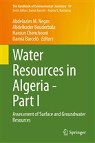 Damia Barcelo, Damià Barceló, Abdelkade Bouderbala, Abdelkader Bouderbala, Haroun Chenchouni, Haroun Chenchouni et al... - Water Resources in Algeria - Part I