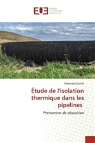 Mohamed ZIGADI - Étude de l'isolation thermique dans les pipelines