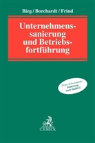Thorste Bieg, Thorsten Bieg, Peter-Alexande Borchardt, Peter-Alexander Borchardt, F Frind, Frank Frind... - Unternehmenssanierung und Betriebsfortführung