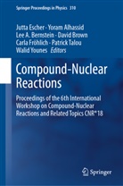 Lee A Bernstein et al, Yora Alhassid, Yoram Alhassid, Lee A. Bernstein, David Brown, Jutta Escher... - Compound-Nuclear Reactions