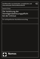 Ioanna Ginou - Die Verletzung der Vermögensbetreuungspflicht bei der Untreue