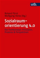 Roland Fürst, Wolfgang Hinte, Roland Fürst, Wolfgang Hinte - Sozialraumorientierung 4.0