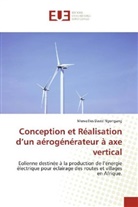 Merveilles David Ngongang - Conception et Réalisation d'un aérogénérateur à axe vertical