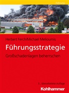 Herber Ferch, Herbert Ferch, Michael Melioumis - Führungsstrategie