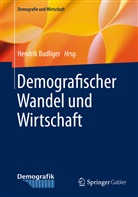 Hendri Budliger, Hendrik Budliger - Demografischer Wandel und Wirtschaft