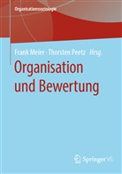 Fran Meier, Frank Meier, Peetz, Peetz, Thorsten Peetz - Organisation und Bewertung