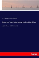 A C Carlleyle, A. C. L. Carlleyle, Alexander Cunningham - Report of a Tours in the Central Doab and Gorakhpur