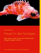 Sven Gehrmann - Feuer! In der Nordsee...