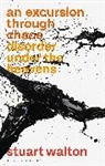 Stuart Walton, Stuart (Independent Scholar Walton - An Excursion through Chaos