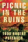 Todd Robert Petersen, Todd Robert Peterson - Picnic In the Ruins