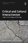 Michael Hviid Jacobsen, Michael Hviid (Aalborg University Jacobsen, Michael Hviid Jacobsen - Critical and Cultural Interactionism
