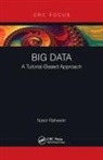 Nasir Raheem, Nasir (Dbtech Consultants Inc. Raheem - Big Data