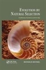 Michaelis Michael, Michael Michaelis - Evolution By Natural Selection
