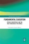 Christopher Gregory Weaver, Christopher Gregory (University of Illinoi Weaver - Fundamental Causation