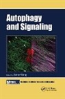 Esther Wong, Esther Wong, Wong Esther - Autophagy and Signaling