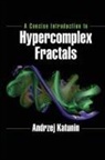 Andrzej Katunin, Katunin Andrzej - Concise Introduction to Hypercomplex Fractals