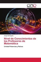 Jorge Cid-Anguita - Nivel de Conocimientos de los Profesores de Matemática