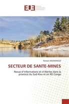 Romain Mushengezi - SECTEUR DE SANTE-MINES