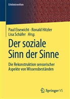Paul Eisewicht, Ronal Hitzler, Ronald Hitzler, Lisa Schäfer - Der soziale Sinn der Sinne