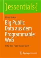 Ulrich Matter - Big Public Data aus dem Programmable Web