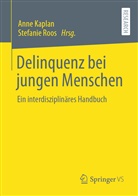 Ann Kaplan, Anne Kaplan, Roos, Roos, Stefanie Roos - Delinquenz bei jungen Menschen