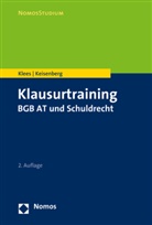Johanna Keisenberg, Andrea Klees, Andreas Klees - Klausurtraining BGB AT und Schuldrecht