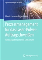 Mauritz Leander Birger Möller, Claus Emmelmann - Prozessmanagement für das Laser-Pulver-Auftragschweißen